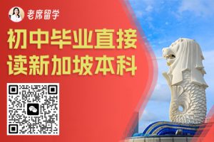 新加坡硕士奖学金申请全攻略！老席亲测：这些奖学金能让你 “白嫖” 名校！插图