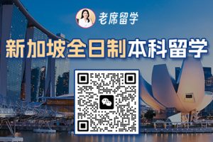 初中毕业逆袭新加坡本科！2025 超全攻略，老席手把手教你弯道超车！插图